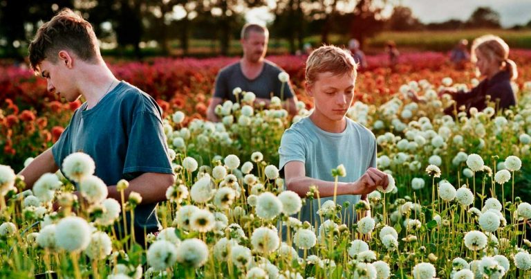 close lukas dhont cannes crítica reseña