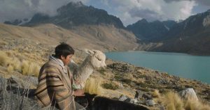 raiz película peruana cusqueña mineras berlinale festival de berlin 2024 alpacas mundial rusia